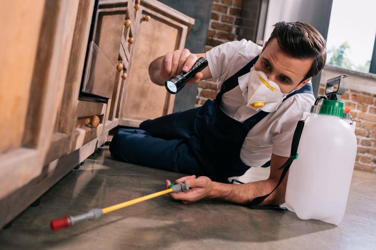 For Pest Control For Pest Control